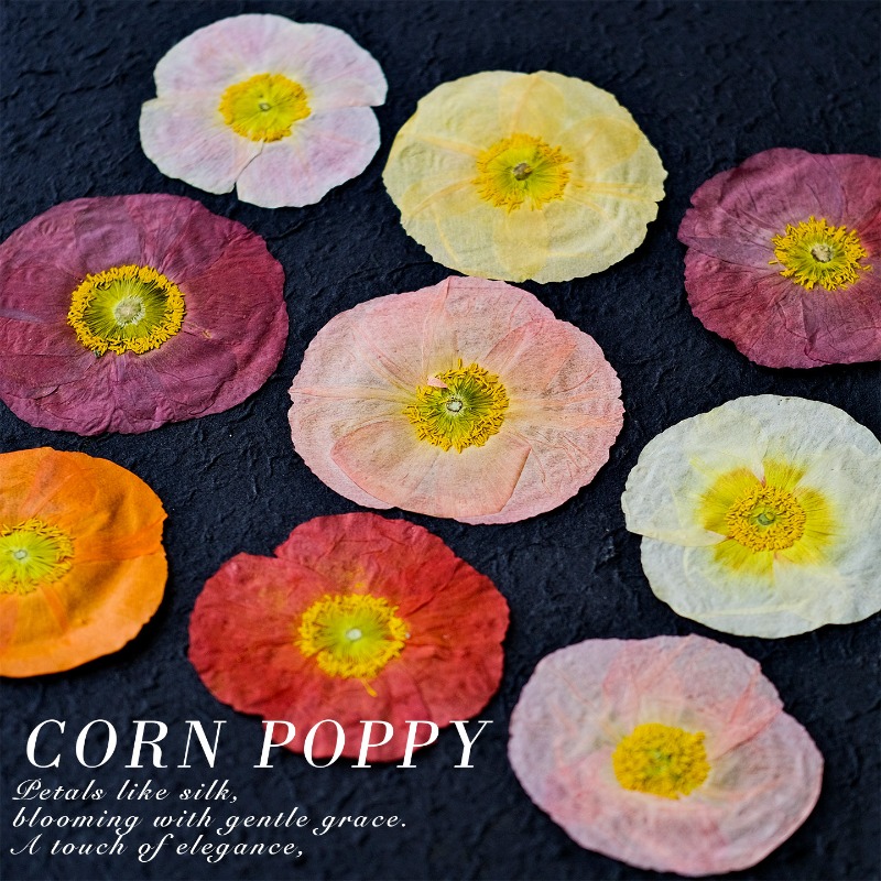 1 unidad, Flores Secas Prensad - Resin Art Baby reseña y precio