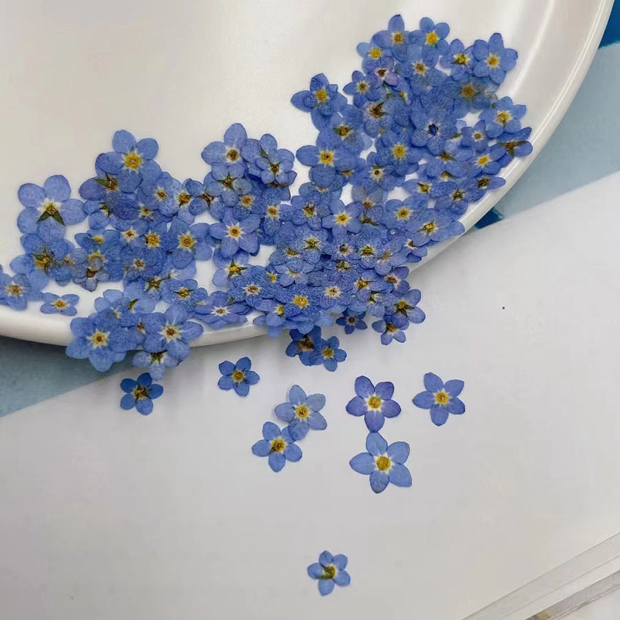 60 piezas de flores secas en m - Resin Art Baby reseña y precio
