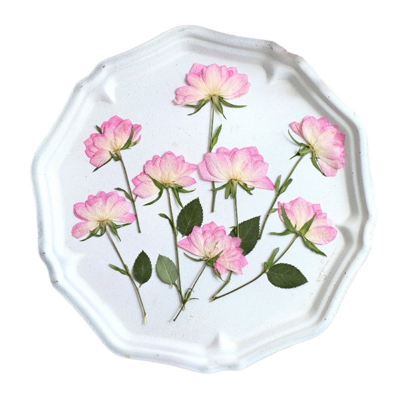 12 Piezas de Flores Secas Pren - Resin Art Baby reseña y precio