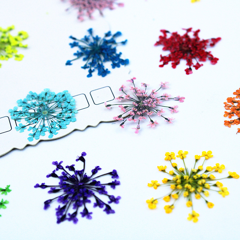 500 piezas de flores de encaje - Resin Art Baby reseña y precio