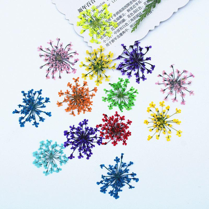 500 piezas de flores de encaje - Resin Art Baby reseña y precio
